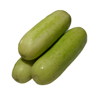 Suchitra Cucumber From Known You Seed (India)-KYI